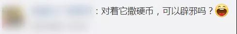 直驱转台